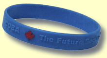 promotional bracelet, silicone bracelet