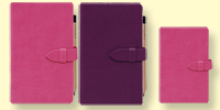 Mirabeau Notebooks