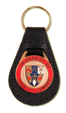 Enamel Medallion  Badge key Fobs