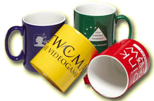 ColourCoat Mug