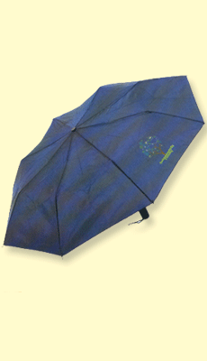 Corporate Auto Open Umbrella