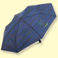 Corporate Auto Open Umbrella